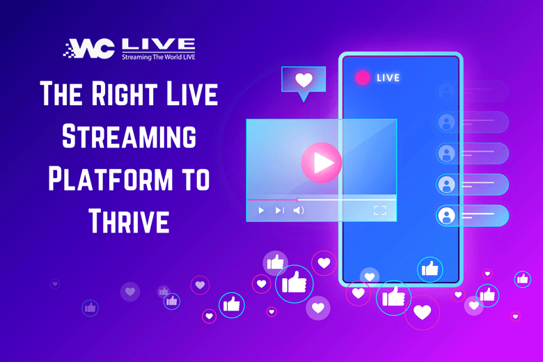 Live Streaming Platform